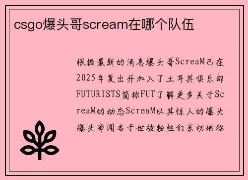 csgo爆头哥scream在哪个队伍